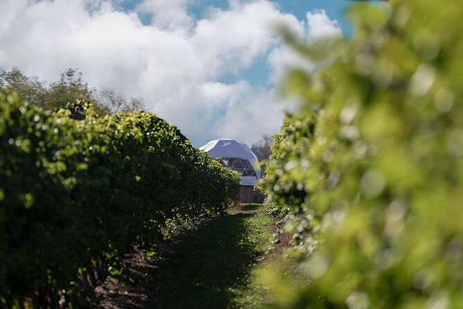 1 Hour Private Vineyard Dome Experience in Niagara-on-the-Lake - The hosts are a major part of the experience