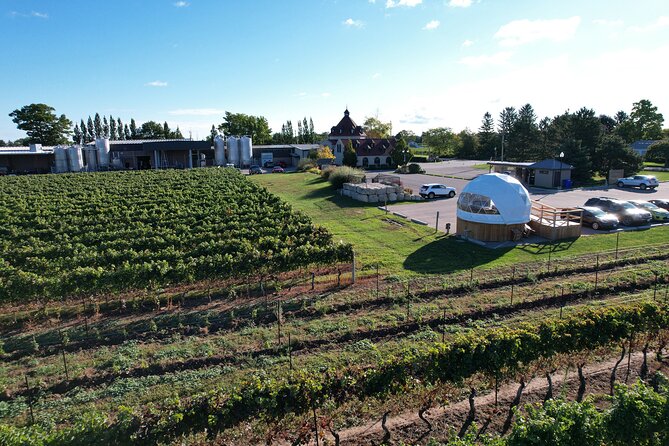 1 Hour Private Vineyard Dome Experience in Niagara-on-the-Lake - Views, atmosphere, and the reality of the dome