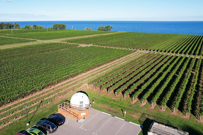 1 Hour Private Vineyard Dome Experience in Niagara-on-the-Lake - Why the one-hour schedule works, and where it feels tight