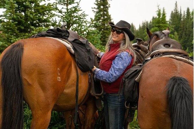 1 Hour Spray River Ride - The horses and the group dynamic