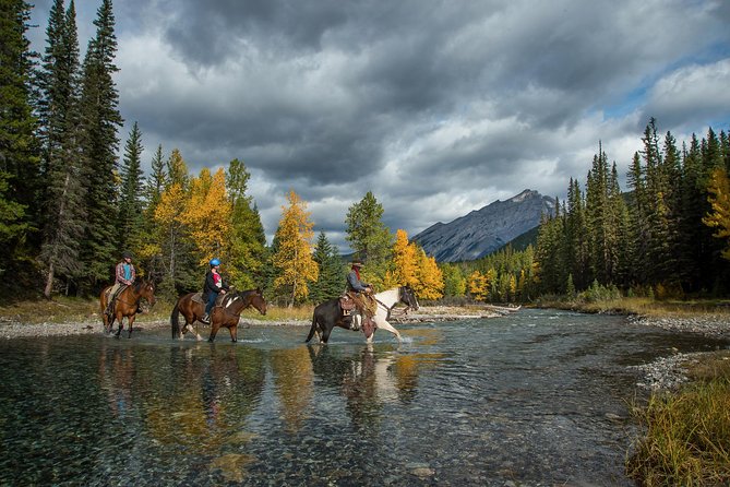 1 Hour Spray River Ride - Meeting the horses at Spray Avenue