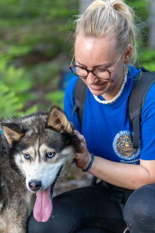 15 min. Tadoussac : Behind-the-Scenes Sled Dog Kennel Tour - Key points to know before you go
