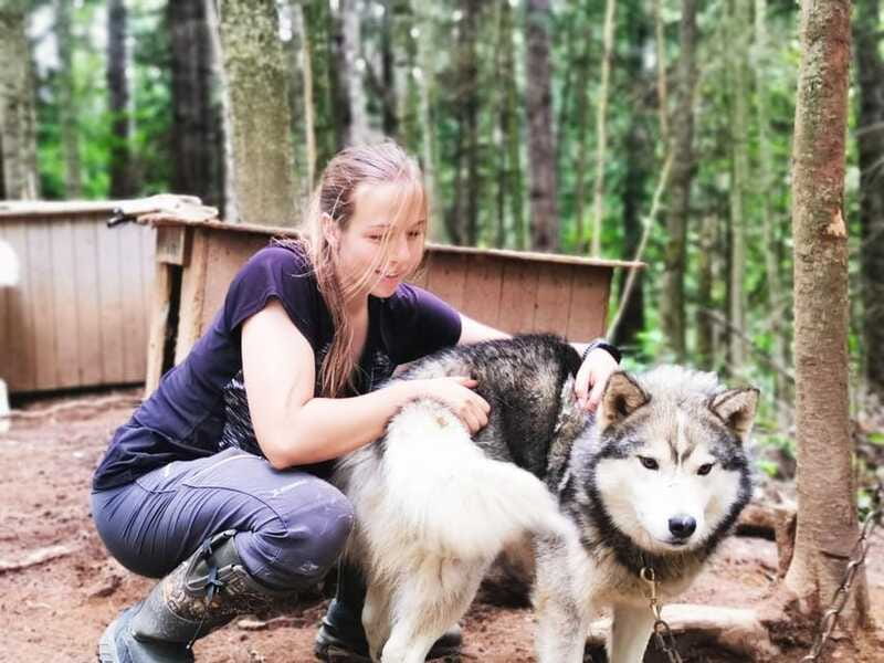 15 min. Tadoussac : Behind-the-Scenes Sled Dog Kennel Tour - Learning each dog’s personality