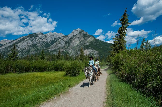 2 Hour Banff Horseback Riding Adventure - Horses, helmets, and riding comfort