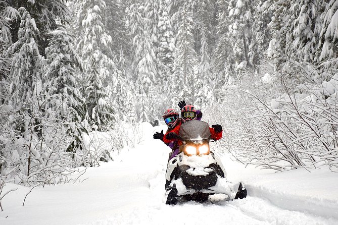 2 Hour Wilderness Adventure Snowmobile Tour in Whistler - Mount Fee from the Callaghan Valley