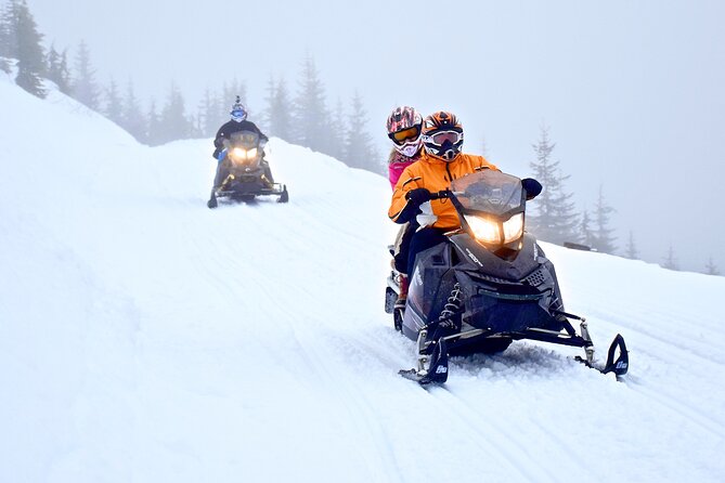 2 Hour Wilderness Adventure Snowmobile Tour in Whistler - Check-in at the Callaghan base