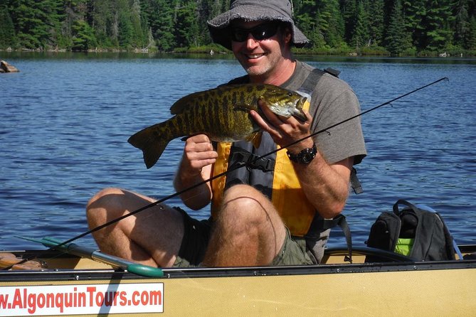 3 Hour Algonquin Park Bass & Trout Fishing (private- price is for 1 or 2 people) - Three hours of bass and trout fishing