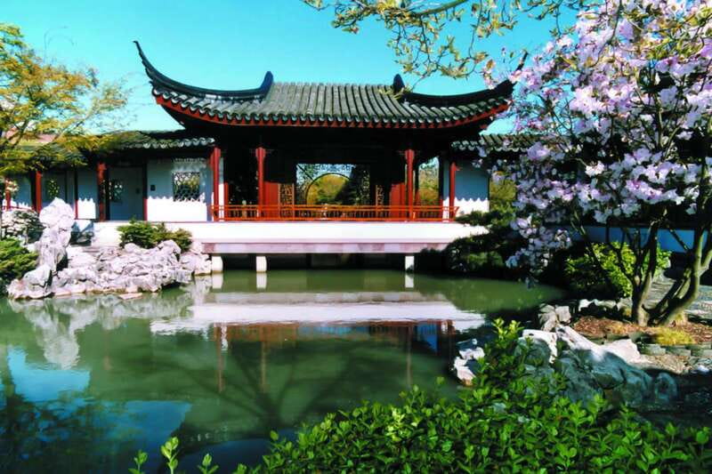 4-Hour Private Tour of Vancouver's Gardens - Queen Elizabeth Park and the city from above