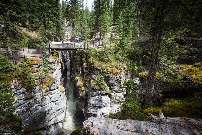 5 Day Canadian Rockies, Banff, Lake Louise, Moraine Lake, Jasper - The bilingual guide question