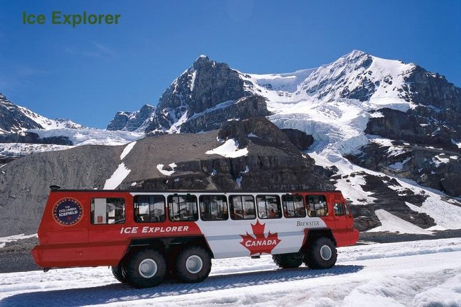 5 Day Canadian Rockies, Banff, Lake Louise, Moraine Lake, Jasper - Day 2: Banff’s classic sights, from the gondola to Johnston Canyon