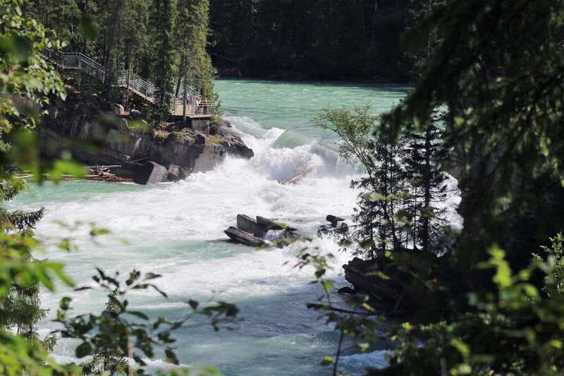 5-Hour Fraser River Rafting in Jasper National Park - What the guides add to the experience
