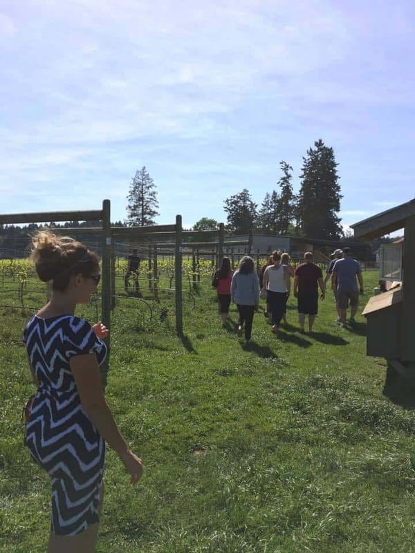 6-Hour Victoria to Cowichan Wine Tour - 9:45 AM Pickup Across From the Fairmont Empress