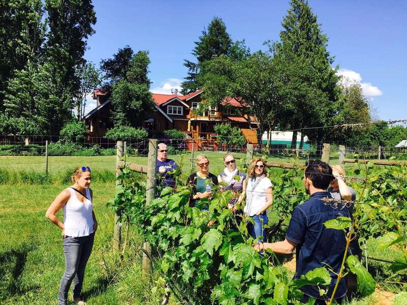 6-Hour Victoria to Cowichan Wine Tour - Enrico: First Tasting and Lunch