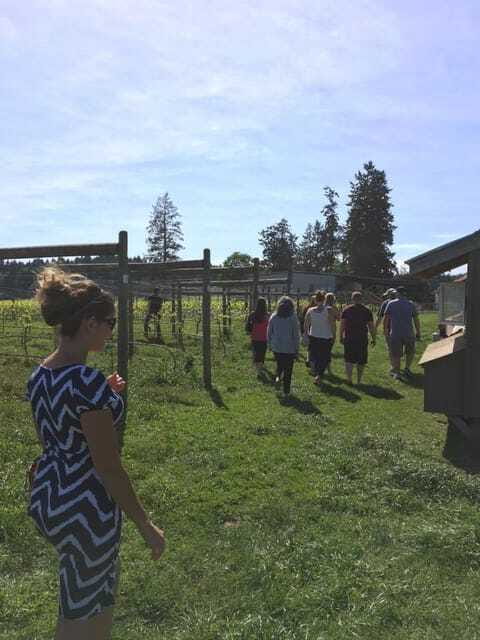 6-Hour Victoria to Cowichan Wine Tour - What the Guides Add to the Day