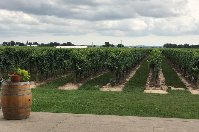 Afternoon Wine, Beer and Charcuterie Tour in Niagara-on-the-Lake - Pickup makes the tasting plan practical