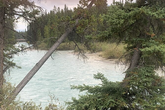 Airport Shuttle: Lake Louise <---> Calgary - The private vehicle and group setup