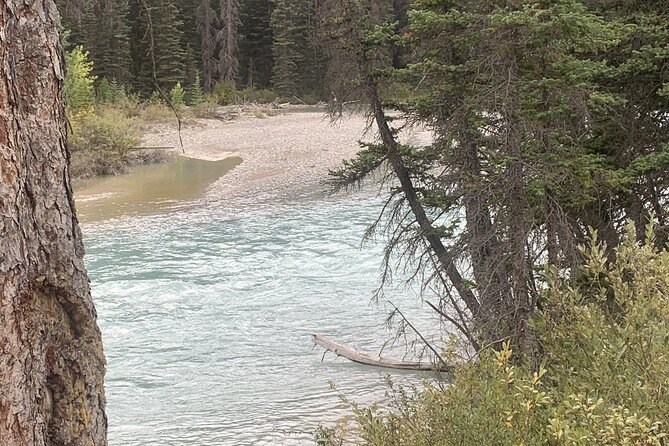 Airport Shuttle: Lake Louise <---> Calgary - Arrival versus departure service