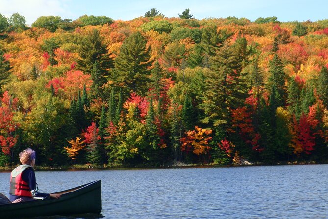 Algonquin Park 3-Day Deluxe Camping & Canoeing Adventure - Key points before you book