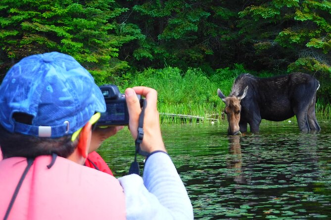 Algonquin Park 3-Day Deluxe Camping & Canoeing Adventure - What three days in Algonquin really feels like