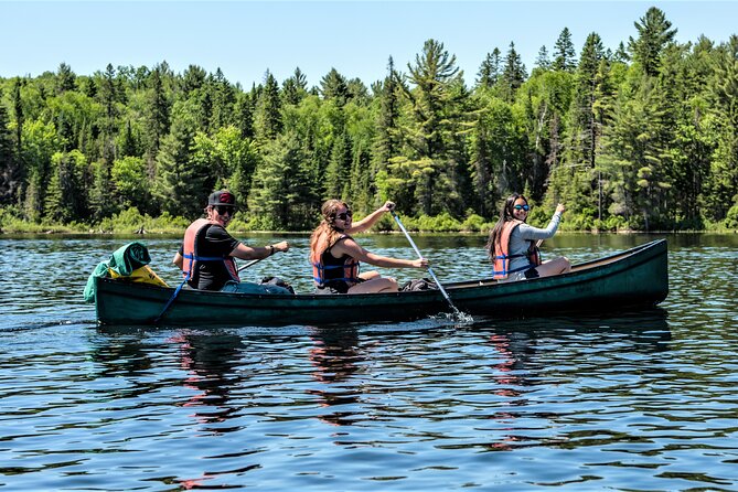 Algonquin Park 3-Day Deluxe Camping & Canoeing Adventure - Day two: beaver ponds, moose country, and lunch outdoors