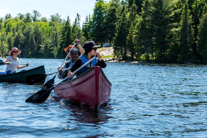 Algonquin Park 3-Day Deluxe Camping & Canoeing Adventure - Day three: sunrise, wildlife, and Tom Thomson