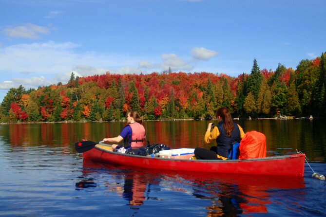 Algonquin Park 4-Day Deluxe Camping & Canoeing Adventure - Five details that shape the experience