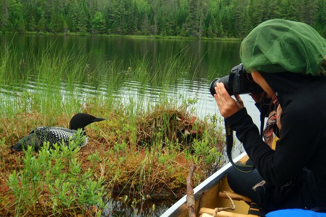 Algonquin Park 4-Day Deluxe Camping & Canoeing Adventure - Is the $397.82 price good value?