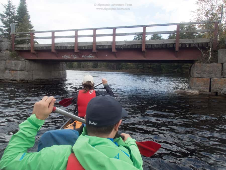 Algonquin Park: Canoe Camping Safari - What $519 buys you