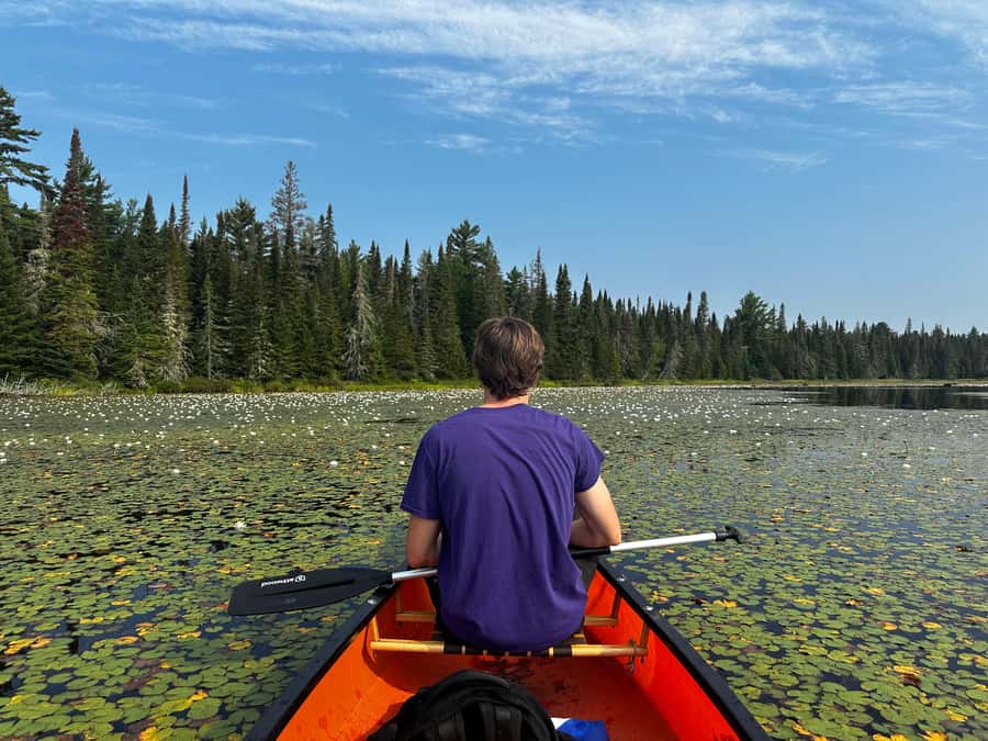 Algonquin Park: Deluxe 4-Day/3-night Canoeing/Camping - The Night Paddle Under the Stars