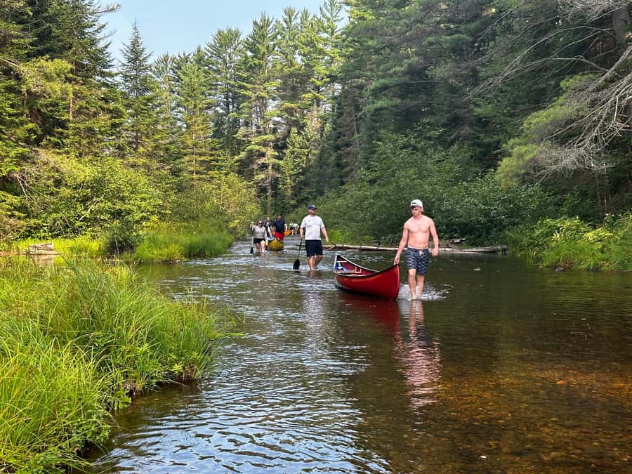 Algonquin Park: Deluxe 4-Day/3-night Canoeing/Camping - Sunrise on the Lake