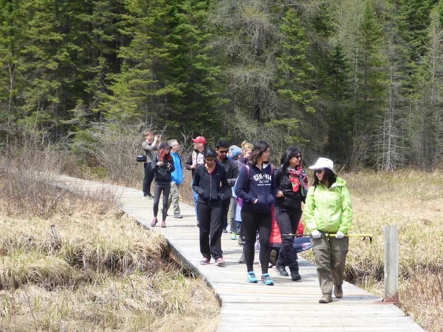 Algonquin Park Hiking: Adventure Tour from Toronto - Algonquin through four seasons