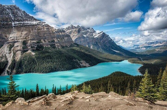 Along Icefields Parkway: Peyto Lake, Bow Lake & Columbia Icefield - Peyto Lake delivers the day’s signature view