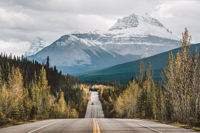 Along Icefields Parkway: Peyto Lake, Bow Lake & Columbia Icefield - The Icefields Parkway is the main event