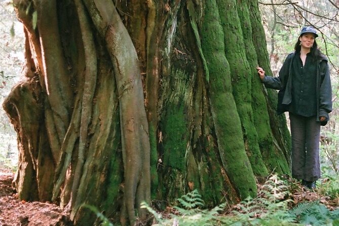 Ancient Trees of Vancouver Walking Tour - Colin Spratt’s blend of science, stories, and local history