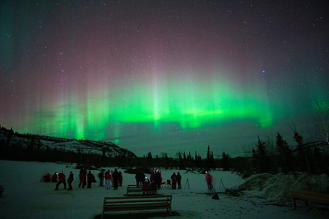 Arctic Day: Aurora Viewing Tour | late night - Guides, presentations, and the human side