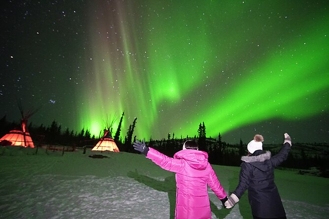 Arctic Day: Aurora Viewing Tour | late night - Is $125.39 a fair price?