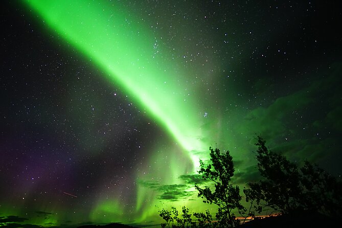 Arctic Day: Aurora Viewing Tour | late night - Who should book this Whitehorse aurora tour?