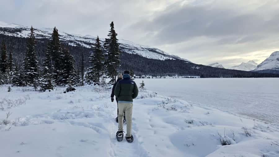 Athabasca Falls/Abraham,Sunwapta Falls, Icefield, Peyto Lake - Abraham Lake and the winter ice bubbles