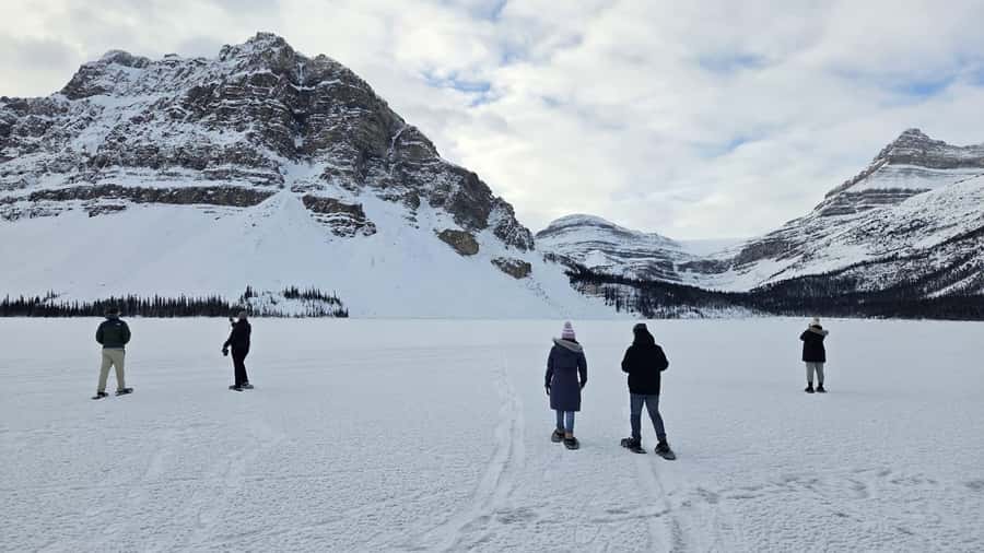 Athabasca Falls/Abraham,Sunwapta Falls, Icefield, Peyto Lake - Who should book this experience?