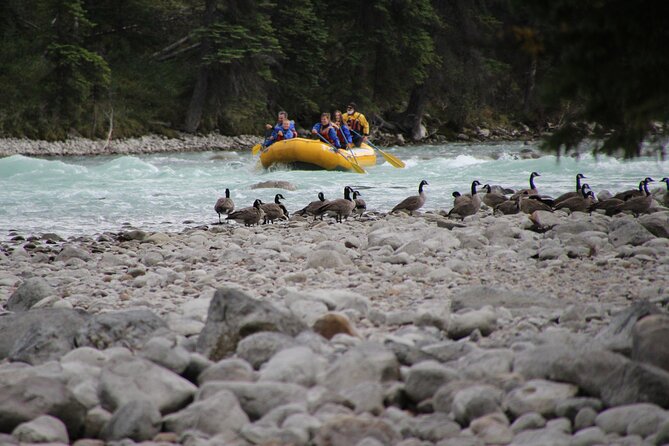 Athabasca River Mile 5 - Guides who make the short trip work