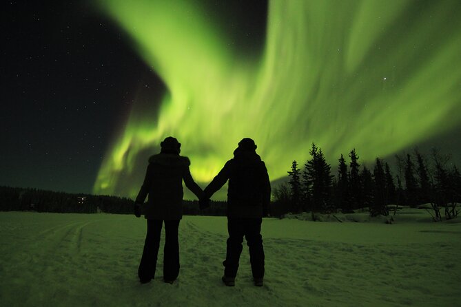 Aurora Hunting Tours - Booking details worth knowing