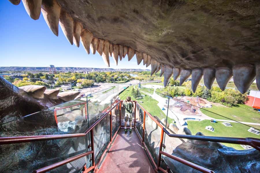 Badlands Tour: Drumheller with Museum, Hoodoos & Coal Mine - Royal Tyrrell Museum: The Main Event