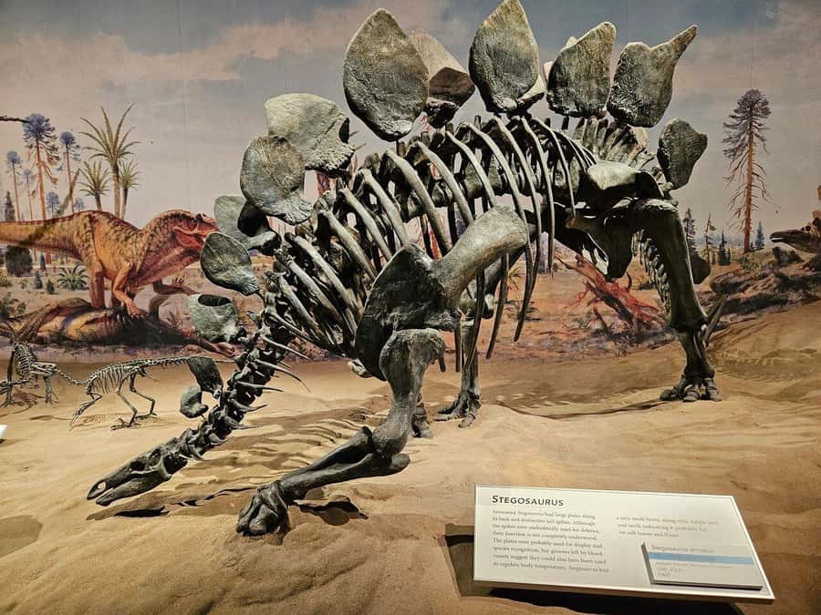 Badlands Tour: Drumheller with Museum, Hoodoos & Coal Mine - Who Will Enjoy This Day Most?