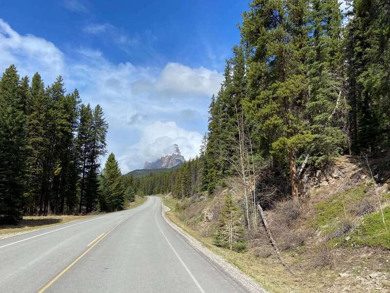 Banff: 4-Hour E-Bike and Walking Tour in Johnston Canyon - Wildlife, mountain views, and the guide’s role