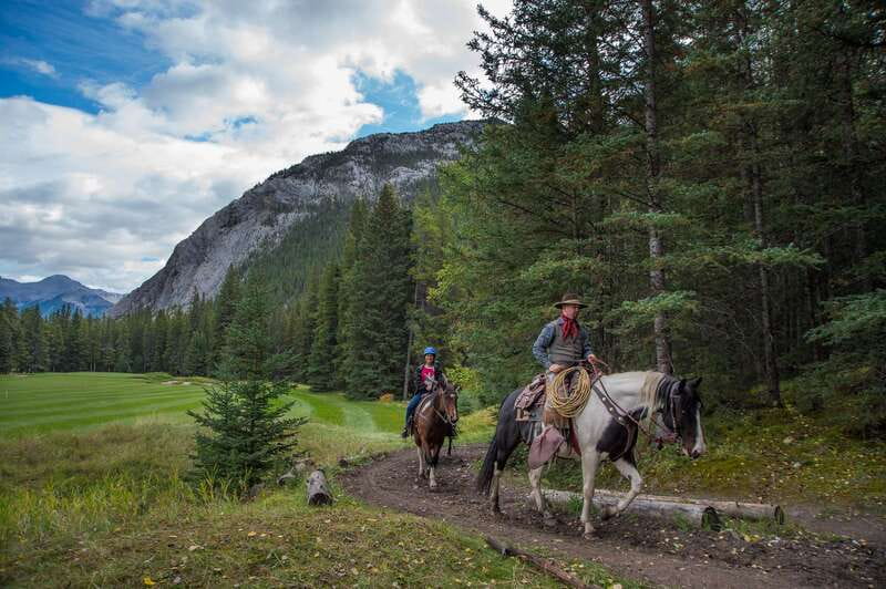 Banff: 4-Hour Sulphur Mountain Intermediate Horseback Ride - Horse temperament and riding demands