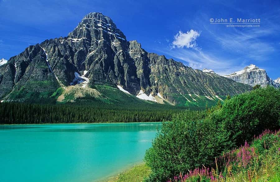 Banff and Jasper National Parks: Tour with Transport - Crowfoot Glacier beside the Icefields Parkway