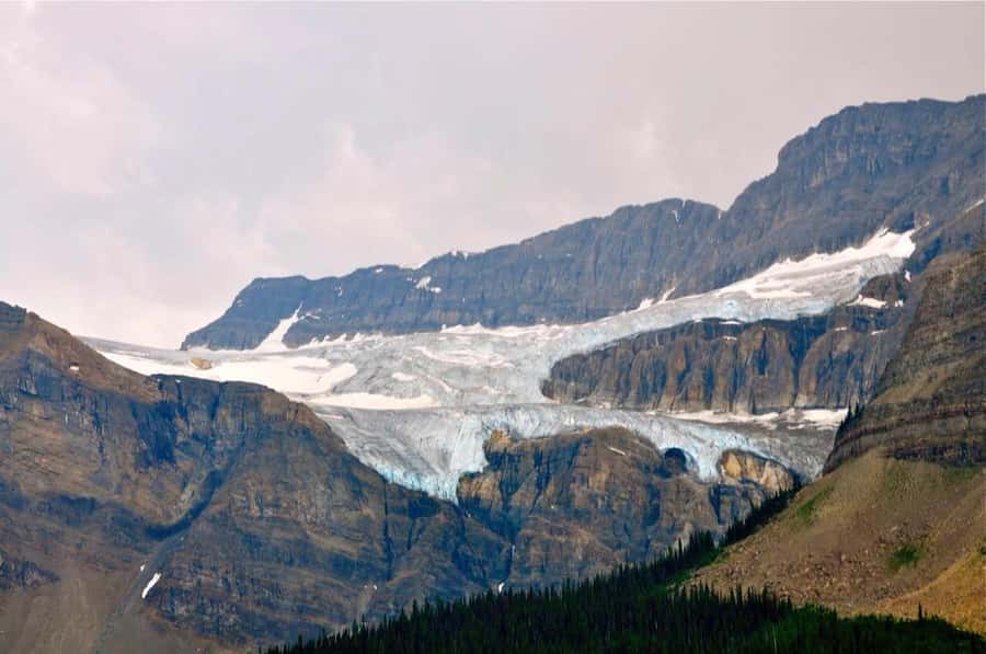 Banff and Jasper National Parks: Tour with Transport - Starting from Calgary, Banff, or Canmore