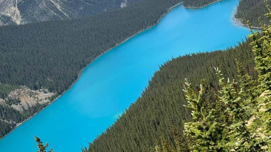 Banff/Calgary/Canmore: Crowfoot Glacier and 5 Lakes Tour - What the $71 price really covers