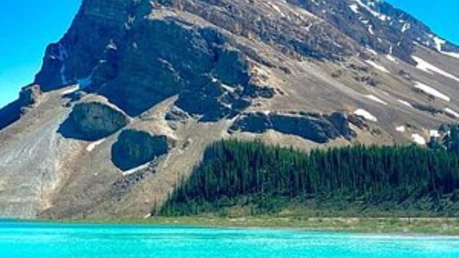 Banff/Calgary/Canmore: Crowfoot Glacier and 5 Lakes Tour - Peyto Lake is the visual high point