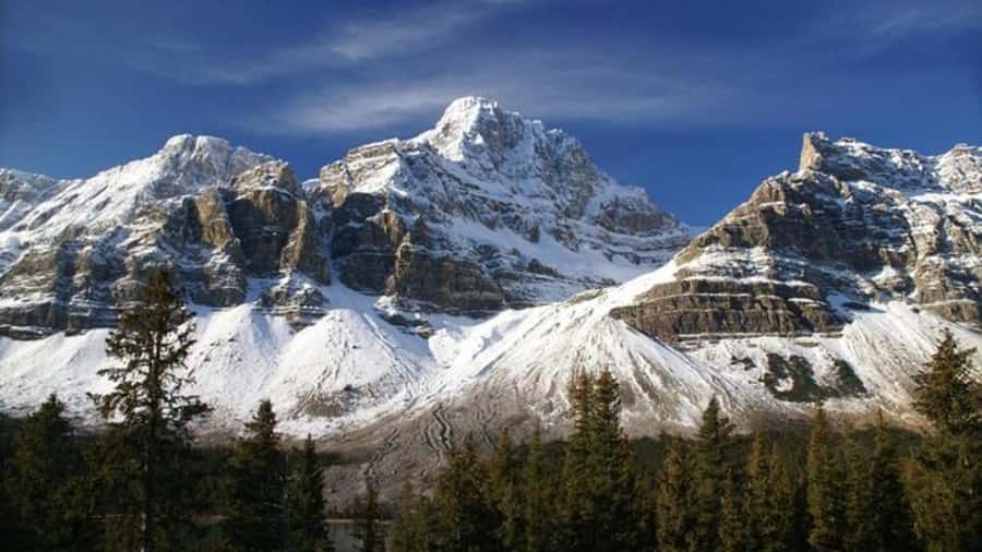 Banff/Calgary/Canmore: Crowfoot Glacier and 5 Lakes Tour - The guide can make or break a long day